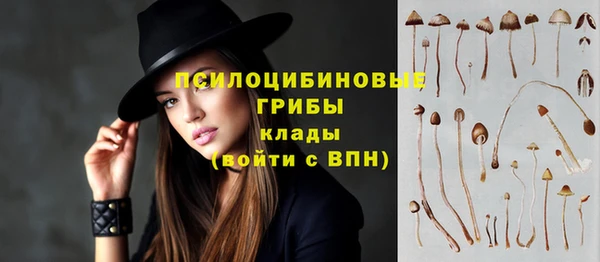 PSILOCYBIN Навашино