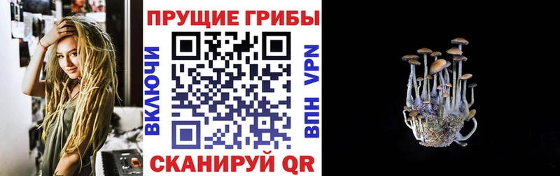 Псилоцибиновые грибы GOLDEN TEACHER  купить  сайты  hydra зеркало  Киров 