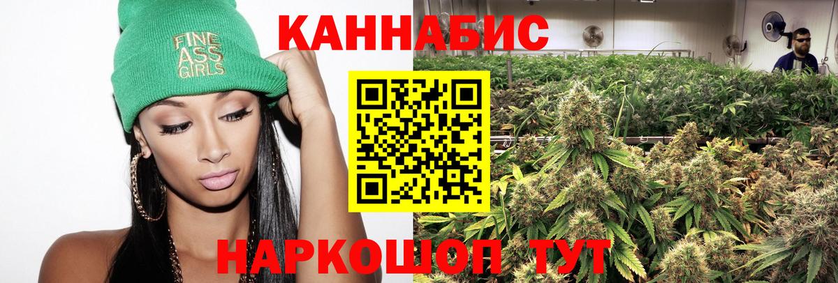 Канабис сатива Киров